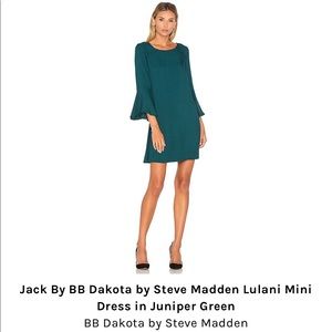 BB Dakota by Steve Madden Lulani Mini dress